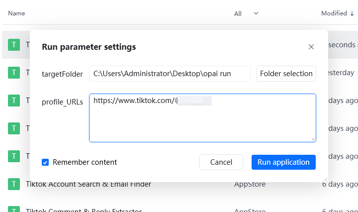 parameter of tiktok downloader